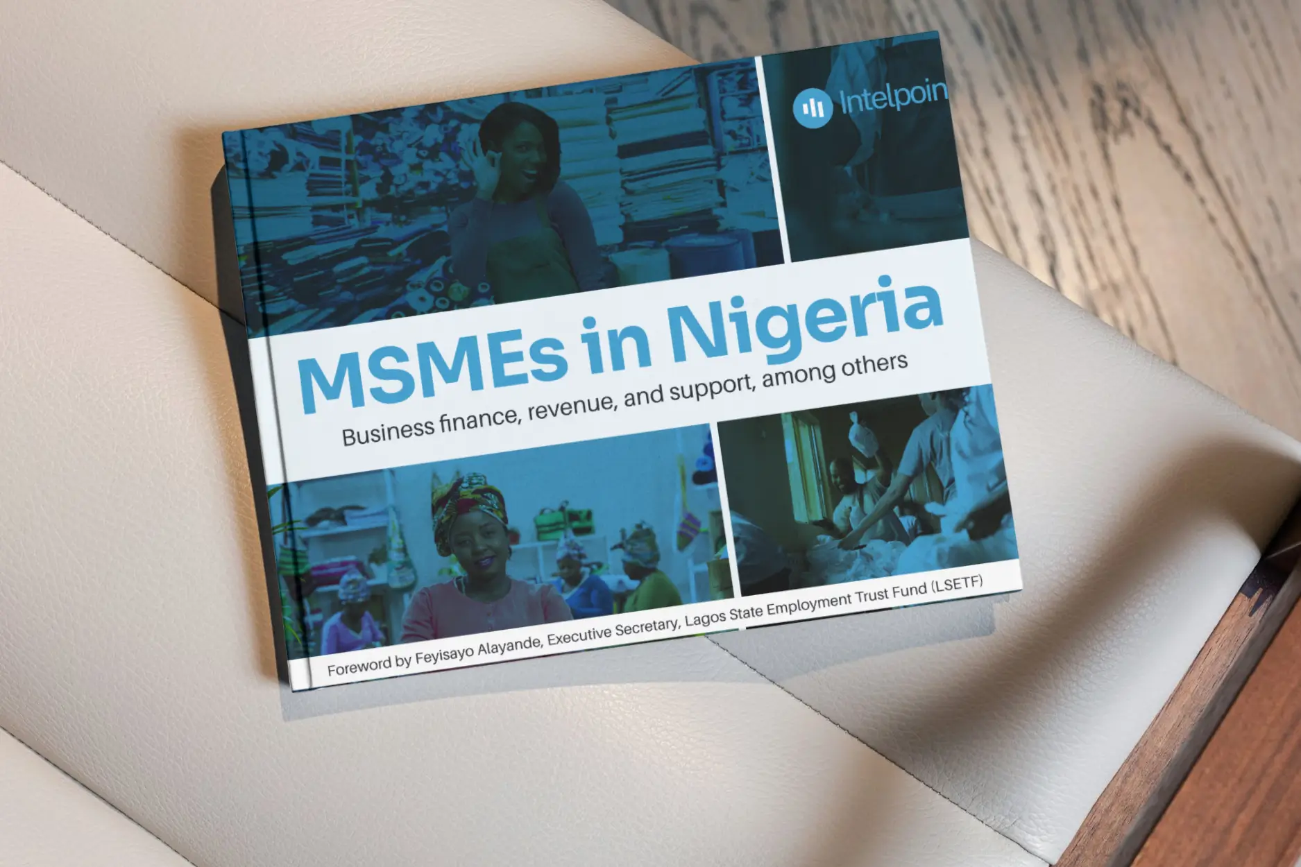 MSMEs in Nigeria - Business finance, revenue, and support, among others