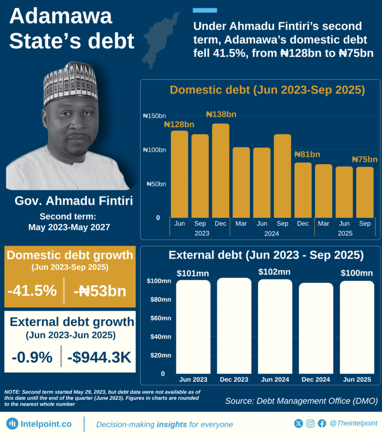 Adamawa State&rsquo;s debt